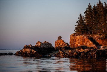 Acadia Photo Safari