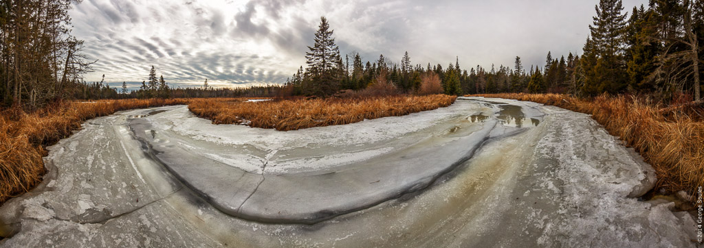 Bass Harbor Marsh