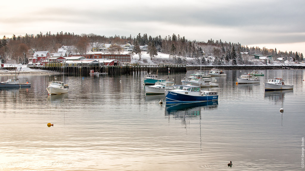 Bass Harbor and Underwood Cannery from Bernard