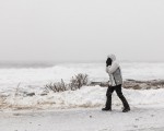 Winter Storm in Acadia National Park